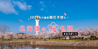 北海道の桜はいつ開花する？ 見頃は？ 2024年の最新開花予想と桜の名所40選