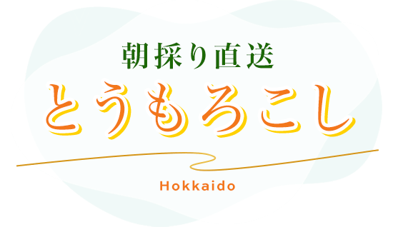 朝採り直送とうもろこし