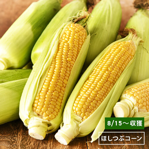 朝採れ！赤井川産とうもろこし ほしつぶコーン