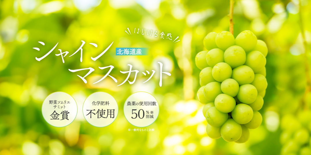 北海道余市生まれのシャインマスカット