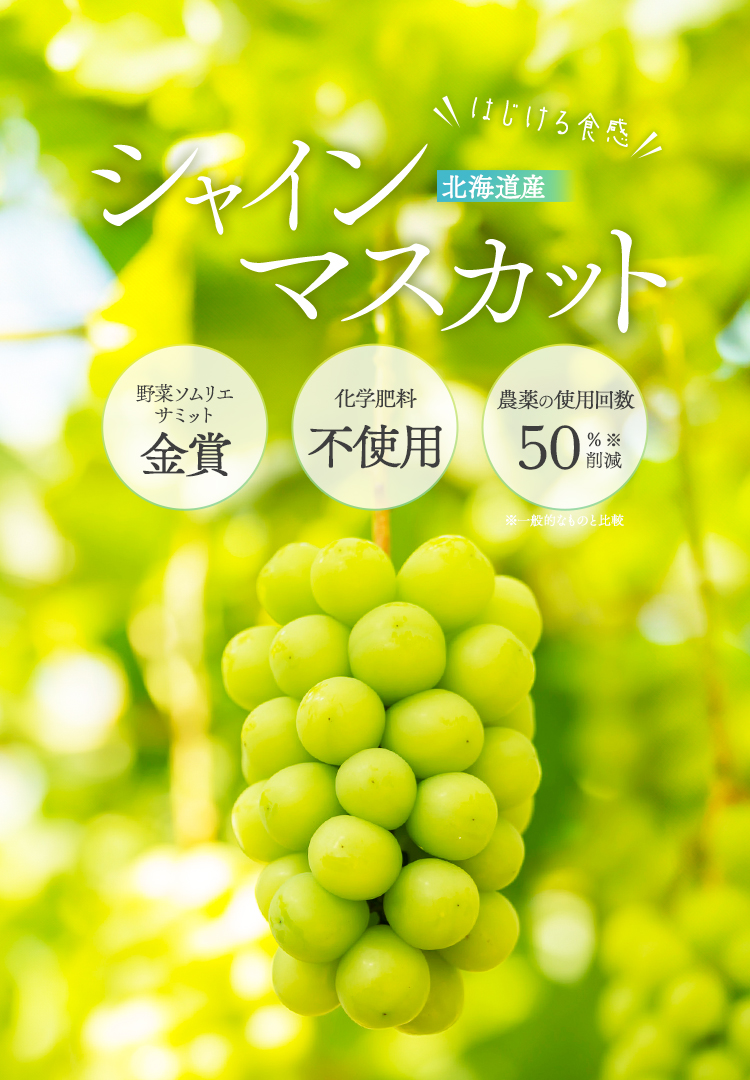 北海道余市生まれのシャインマスカット