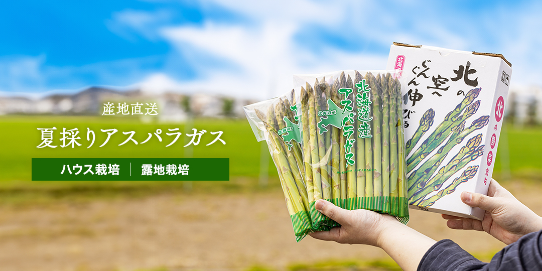 夏採りのアスパラあります！