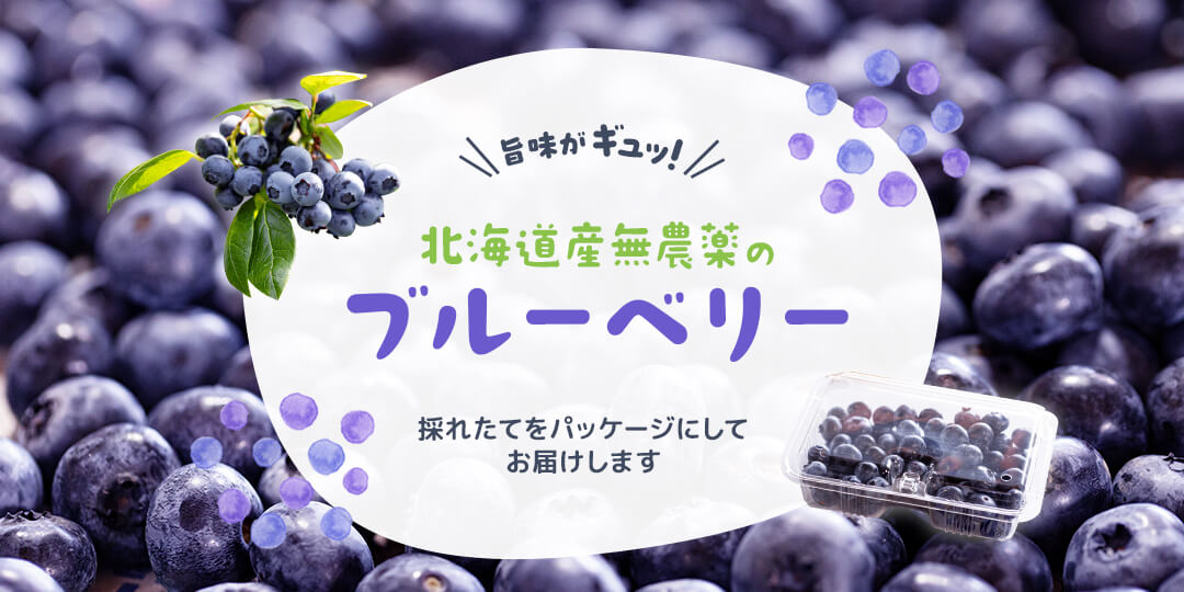 無農薬フレッシュブルーベリー