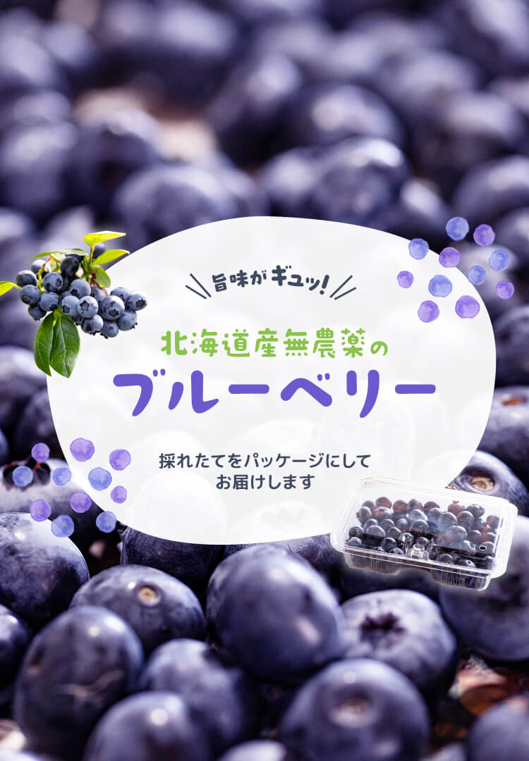 無農薬フレッシュブルーベリー