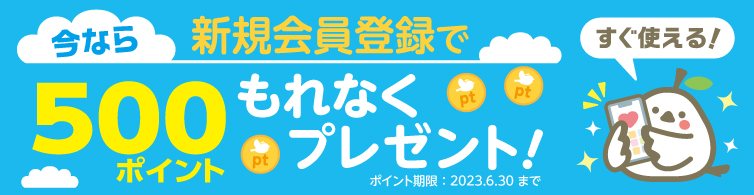 今なら新規会員登録でもれなく500ポイントプレゼント