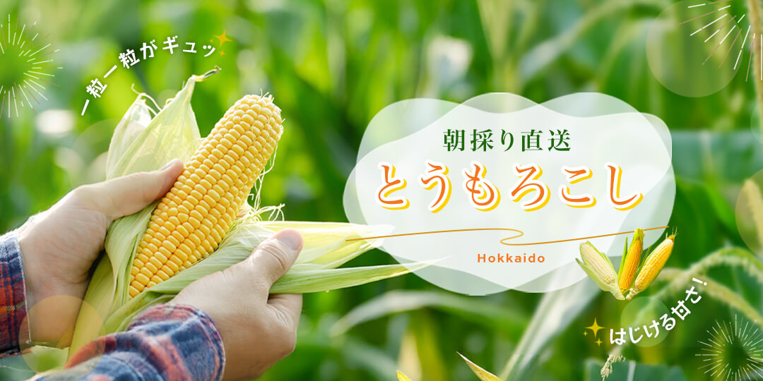 北海道のとうもろこし特集2025