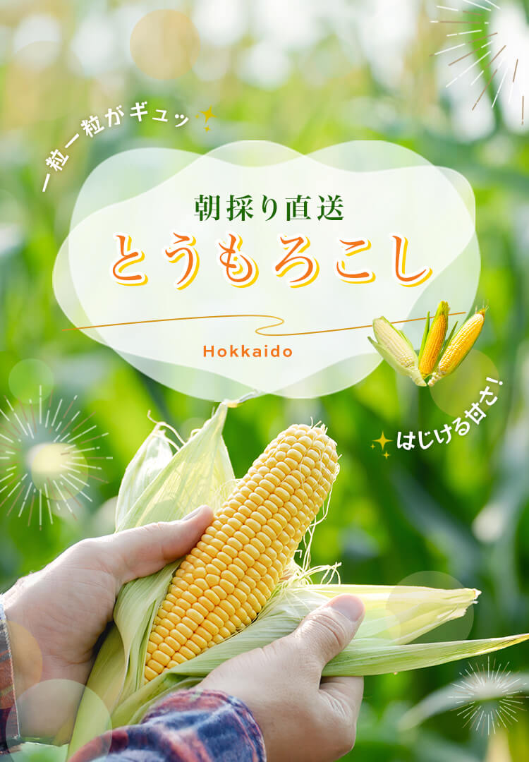 北海道のとうもろこし特集2025