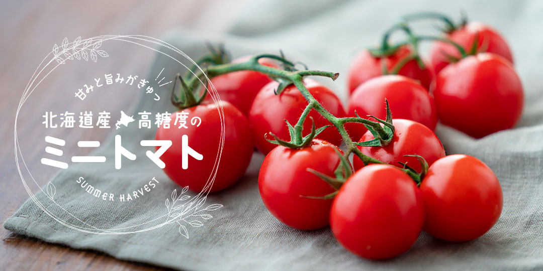 甘みと旨みがギュッ！北海道のミニトマト