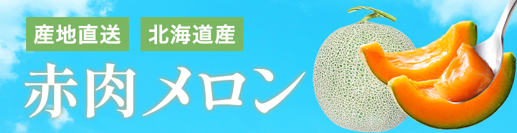 ベテラン農家さんが育てる北海道産赤肉メロン